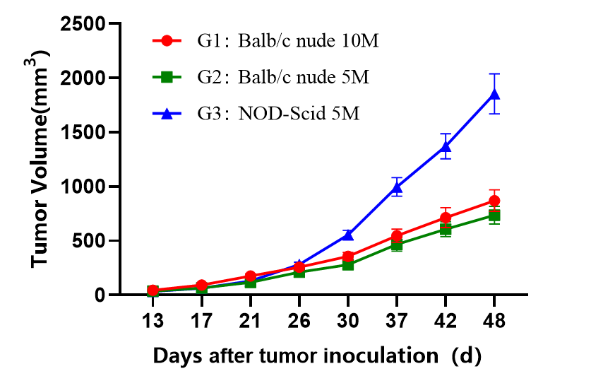 肿瘤移植模型：从基础研究到药物治疗大有可为_腾讯新闻