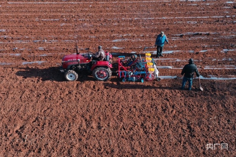 走"晋"乡村看振兴|山西沁县首次冬播沁州黄谷子_腾讯新闻