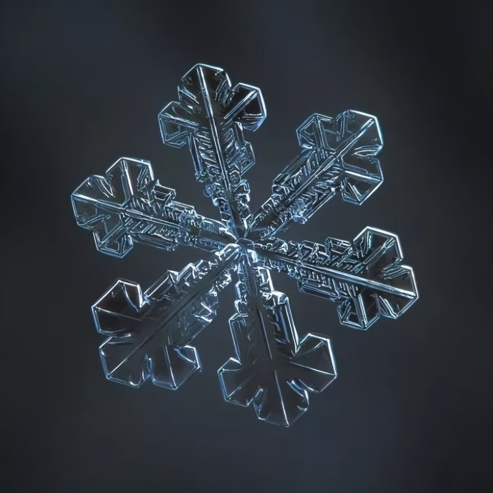 有机会才能带来大量有趣而美丽的雪花如果小编再问你雪花是什么形状的