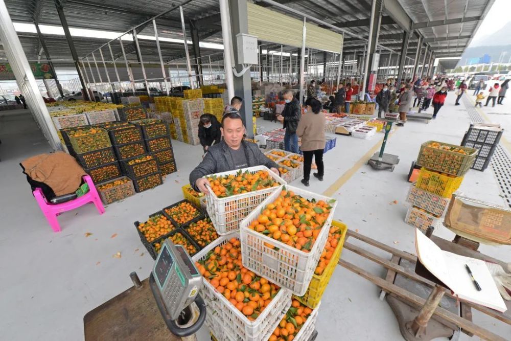 黔南农产品电商仓配港黔匀和农产品物流园果蔬交易区开业