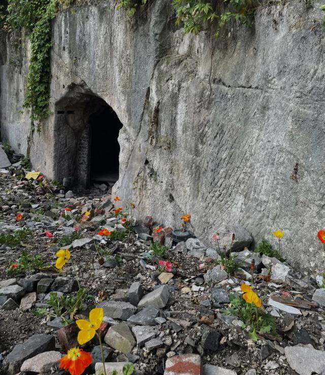 重庆的"废墟",开出了"玫瑰瀑布",免费开放,本地人却没去过_腾讯新闻