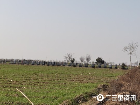 陕西兴平一村庄违法占用耕地建墓园，6000元就能买块墓地学而思大语文资料
