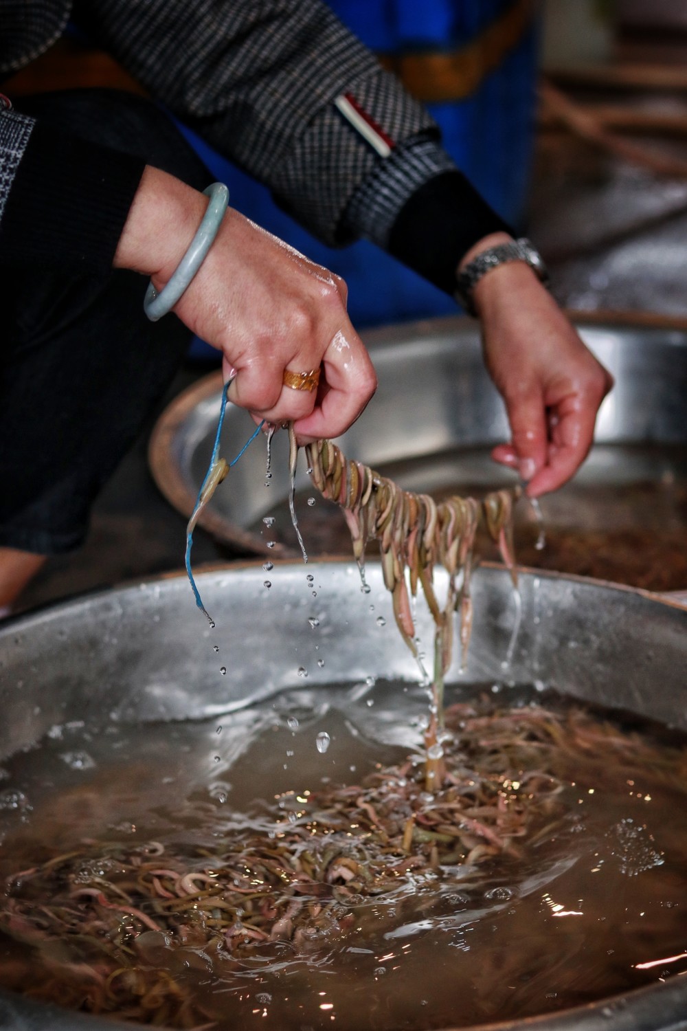 为什么广东人对吃禾虫这么执着?