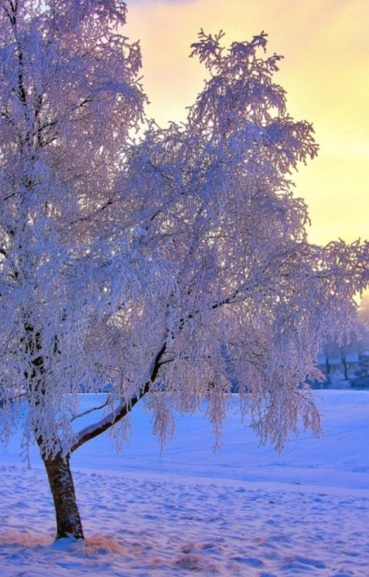 夜雨丨王景云水墨雪