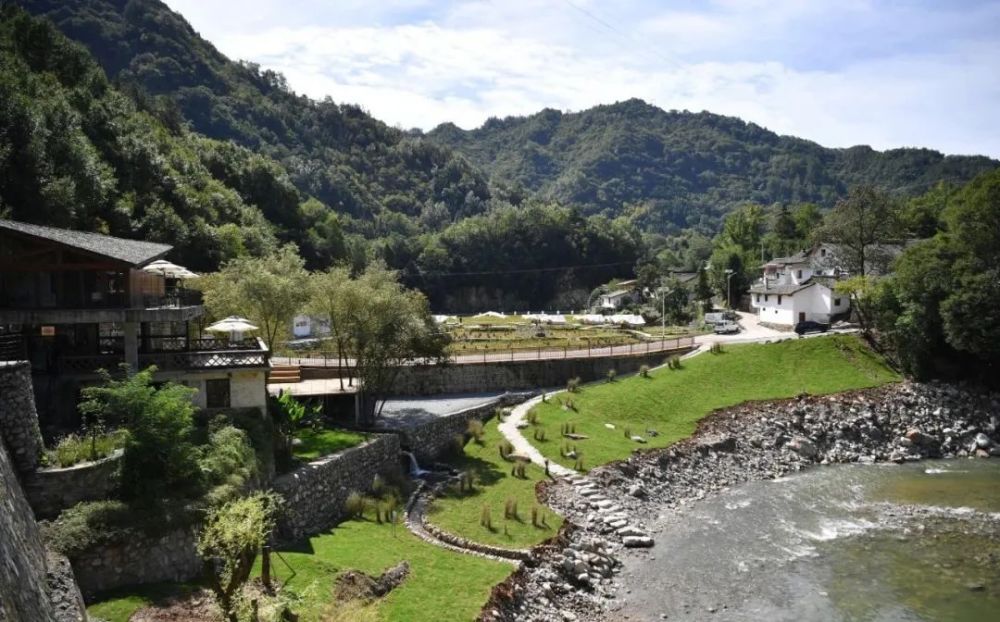 天津双口镇红绿共舞绘就乡村振兴秀美画卷