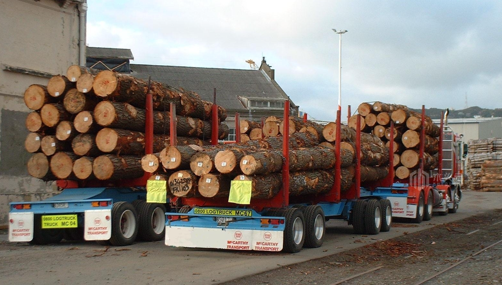 新西兰发布木材加工业转型计划中国原木进口供应再度减少