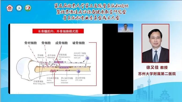 苏州大学附属第二医院徐又佳教授《骨质疏松性骨折后