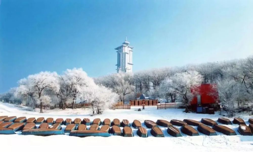 长白天下雪净月潭国家森林公园冬日正好雪景可期