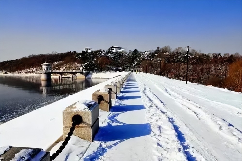 长白天下雪净月潭国家森林公园冬日正好雪景可期