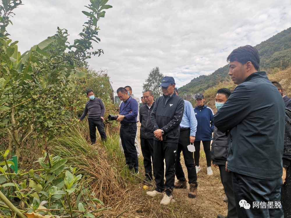 图为:次真一行人考察背崩乡江新村现场12月15日,工作组一行在县政府二