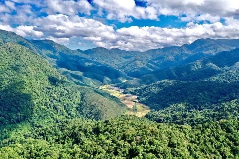 乐享云南|美景·西双版纳勐远仙境_腾讯新闻