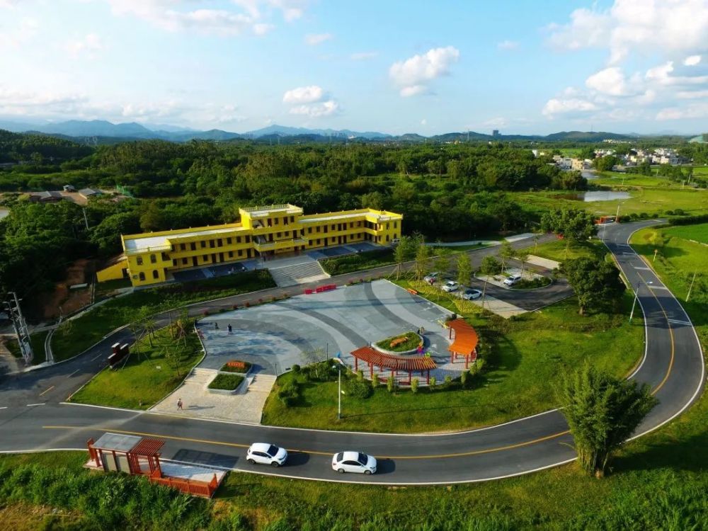 "一把手"访谈|良西镇:踔厉奋发 勇毅前行 建设美丽