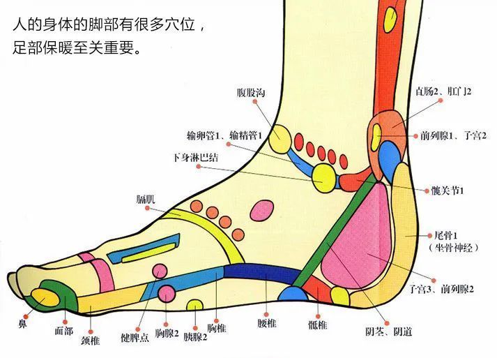 这款"保暖按摩"鞋垫堪比脚底"电热毯",深冬暖脚丫必备!_腾讯新闻