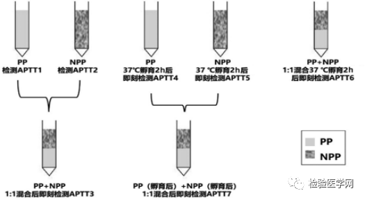 aptt延长伴皮下大片瘀斑很多检验人忽略了这个原因