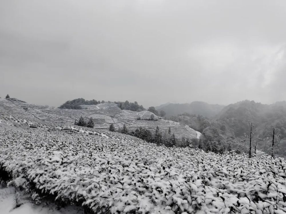 美天宫山下雪啦快来欣赏一波雪景