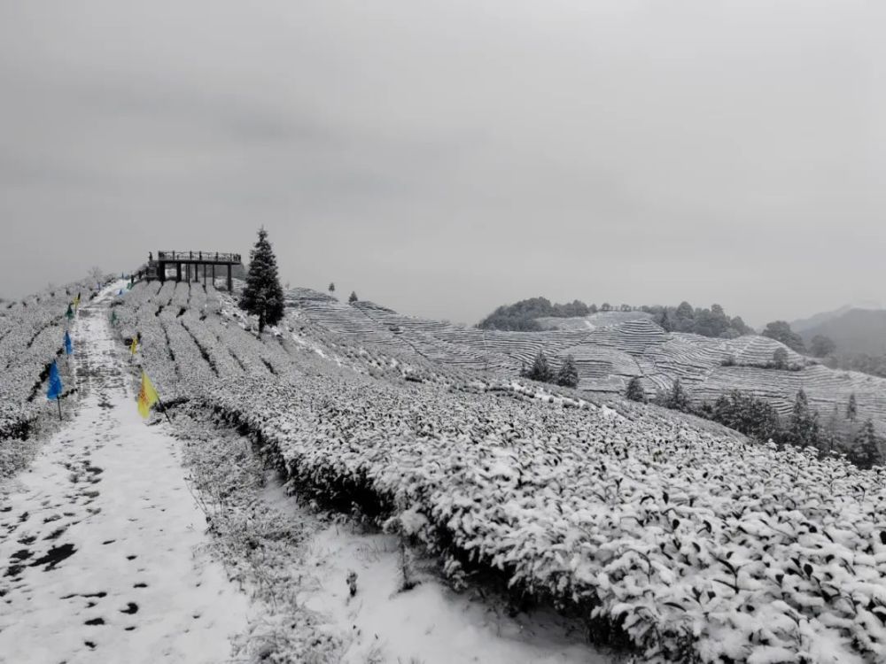 天宫山下雪啦!快来欣赏一波雪景～_腾讯新闻