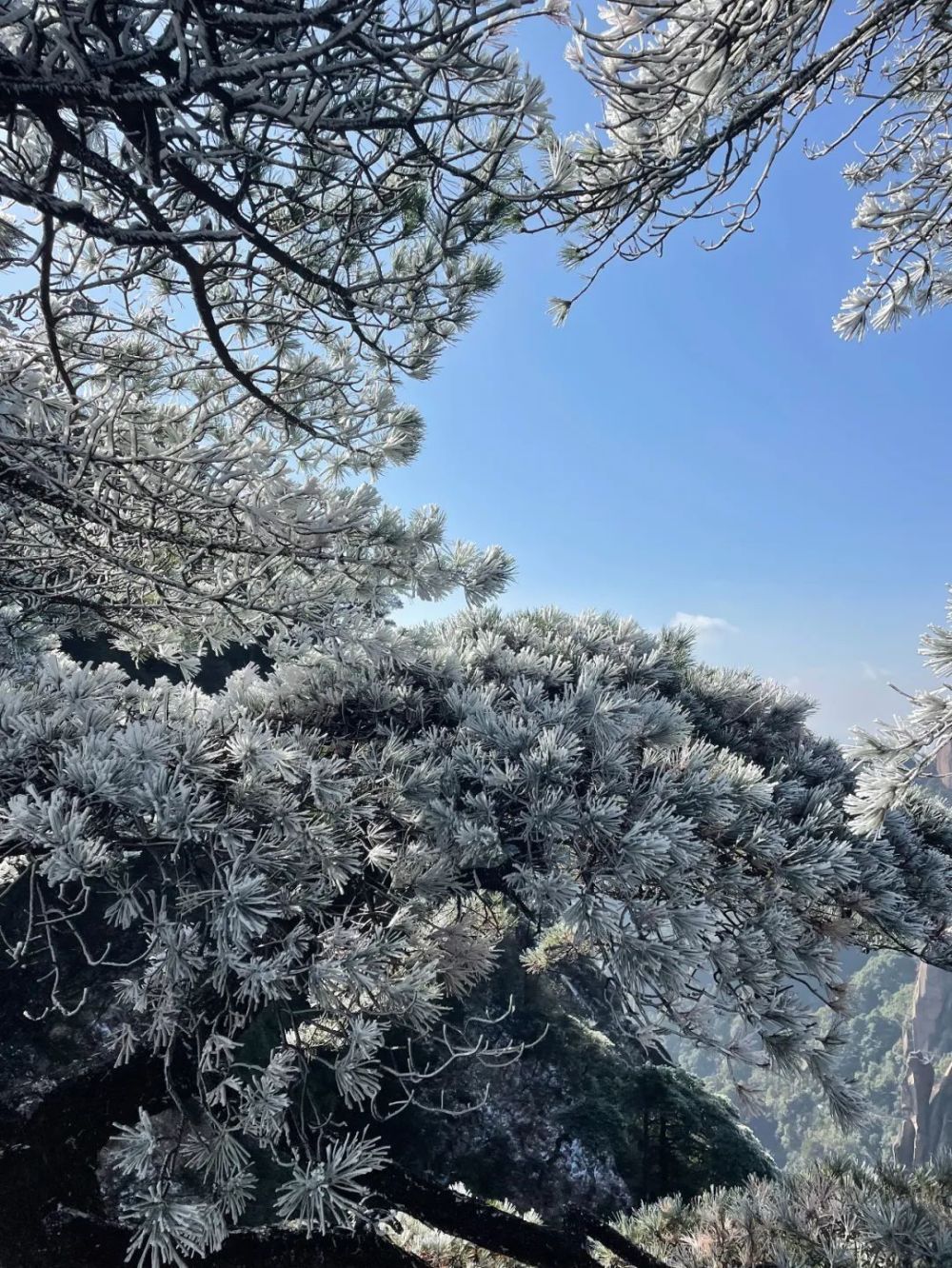 上饶三清山雪景图片