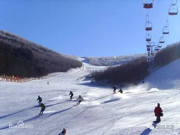 这里的很多滑雪场都走高端路线,酒店设施,吃住行等一条龙服务,各种