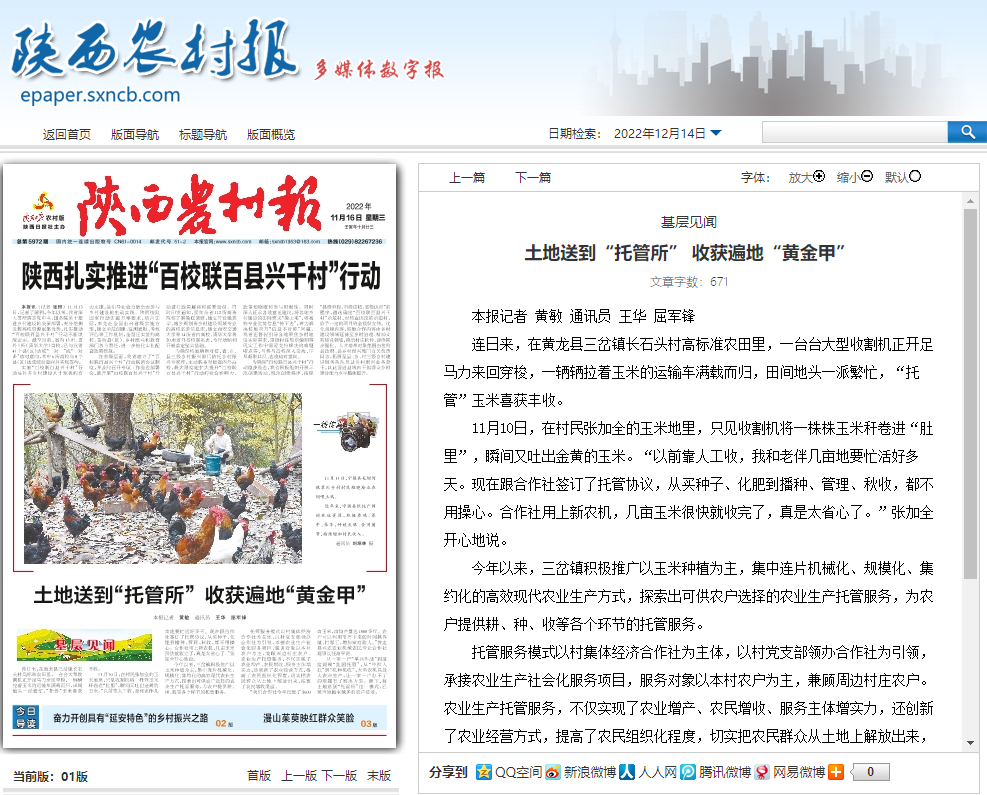 11月16日 陕西农村报 1版 土地送到"托管所" 收获遍地"黄金甲"(王华
