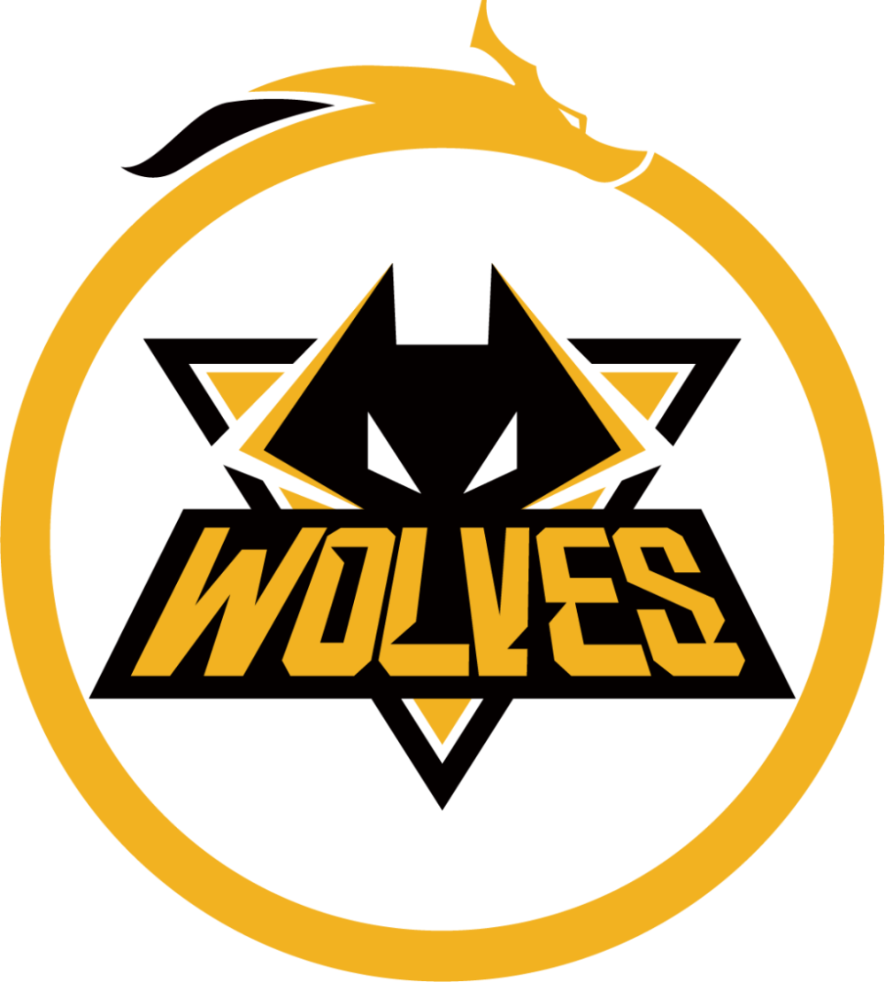 顶尖bp博弈重庆狼队南京hero久竞生死之战谁能成功晋级