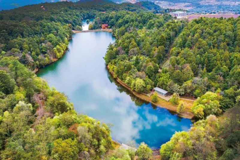 乐享云南|美景·新平磨盘山国家森林公园_腾讯新闻