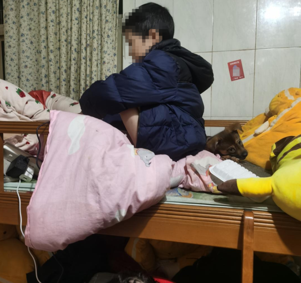 6岁男孩仍穿纸尿裤,监护人不愿送其上学,民政局回应_腾讯新闻