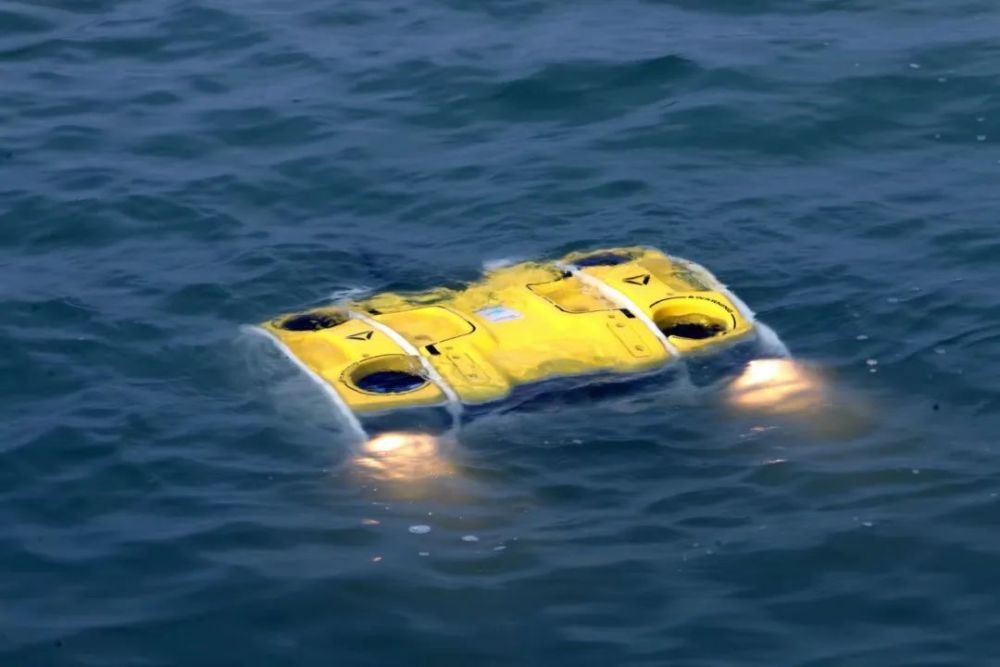 驻地企业——台州旗鱼工业设计有限公司申报的"全姿态游弋水下机器人"