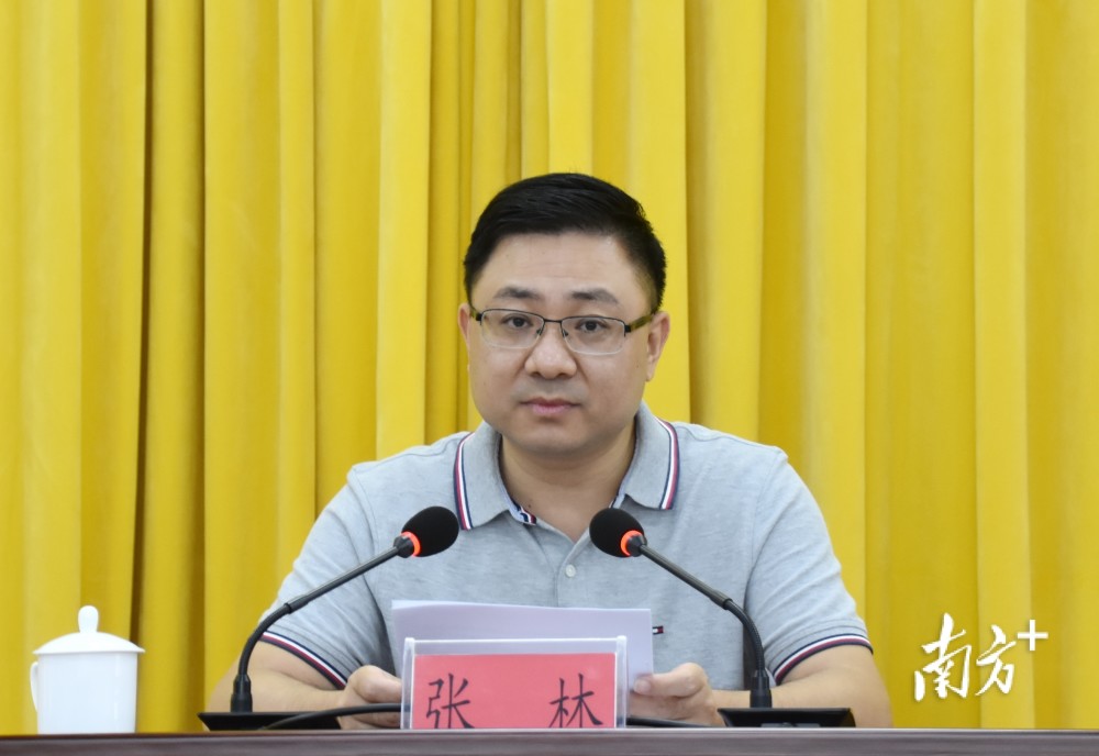 汕头市域社会治理访谈录丨张林:立足海岛实际创新治理,绘制"善治南澳"