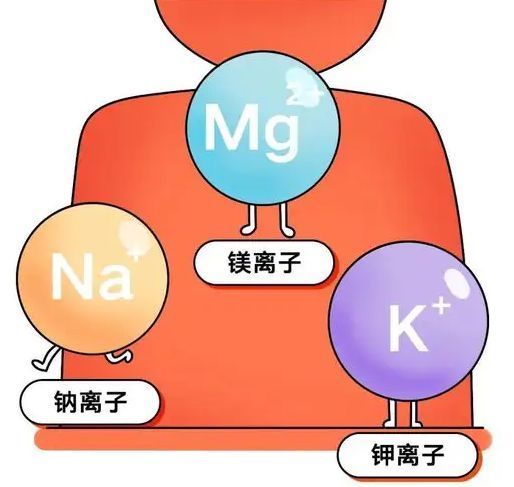 20岁小伙借15万开舞团，钱花光无奈街头流浪，每天吃一顿过3个月减肥糖果真的有效吗