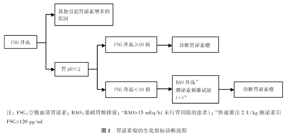 胃泌素瘤:98%以上的胃泌素瘤患者空腹血清胃泌素水平升高,但特异度不
