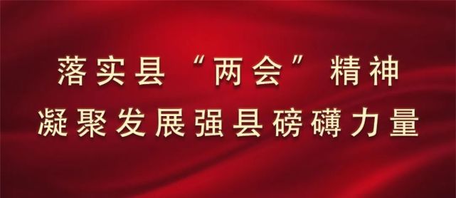 落实县"两会"精神 凝聚发展强县磅礴力量|柳树屯乡和方家屯镇学习贯彻