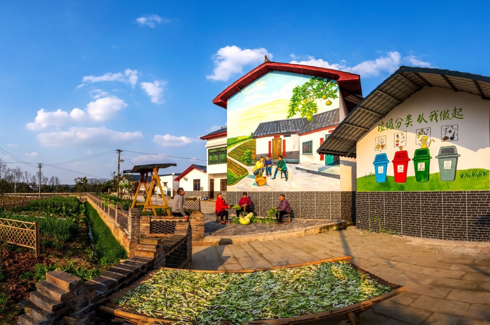 他们是柏梓镇小岭村,龙形镇洪兴村,古溪镇玉家村,梓潼街道李台村,大佛