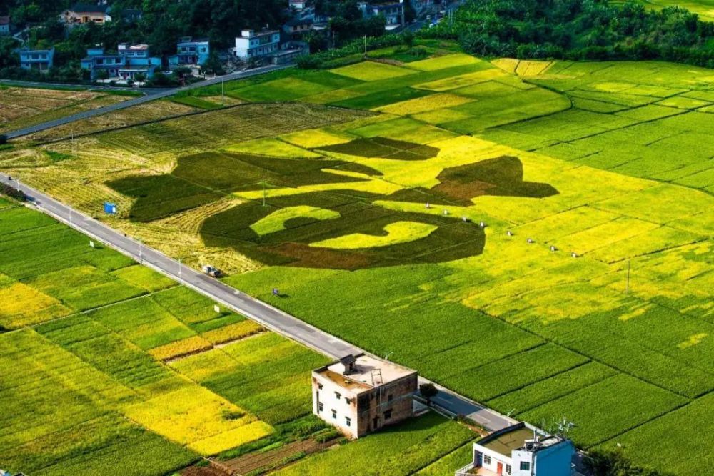 乡游黔中·兴义市 万峰林街道|万峰成林,磅礴之景在这里_腾讯新闻