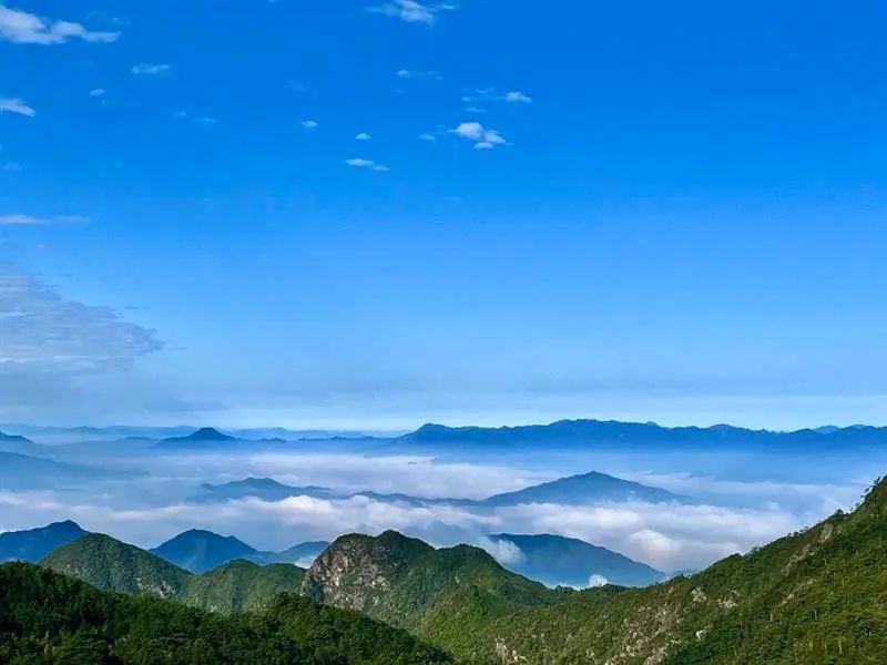 一起来探秘航拍百山祖国家公园