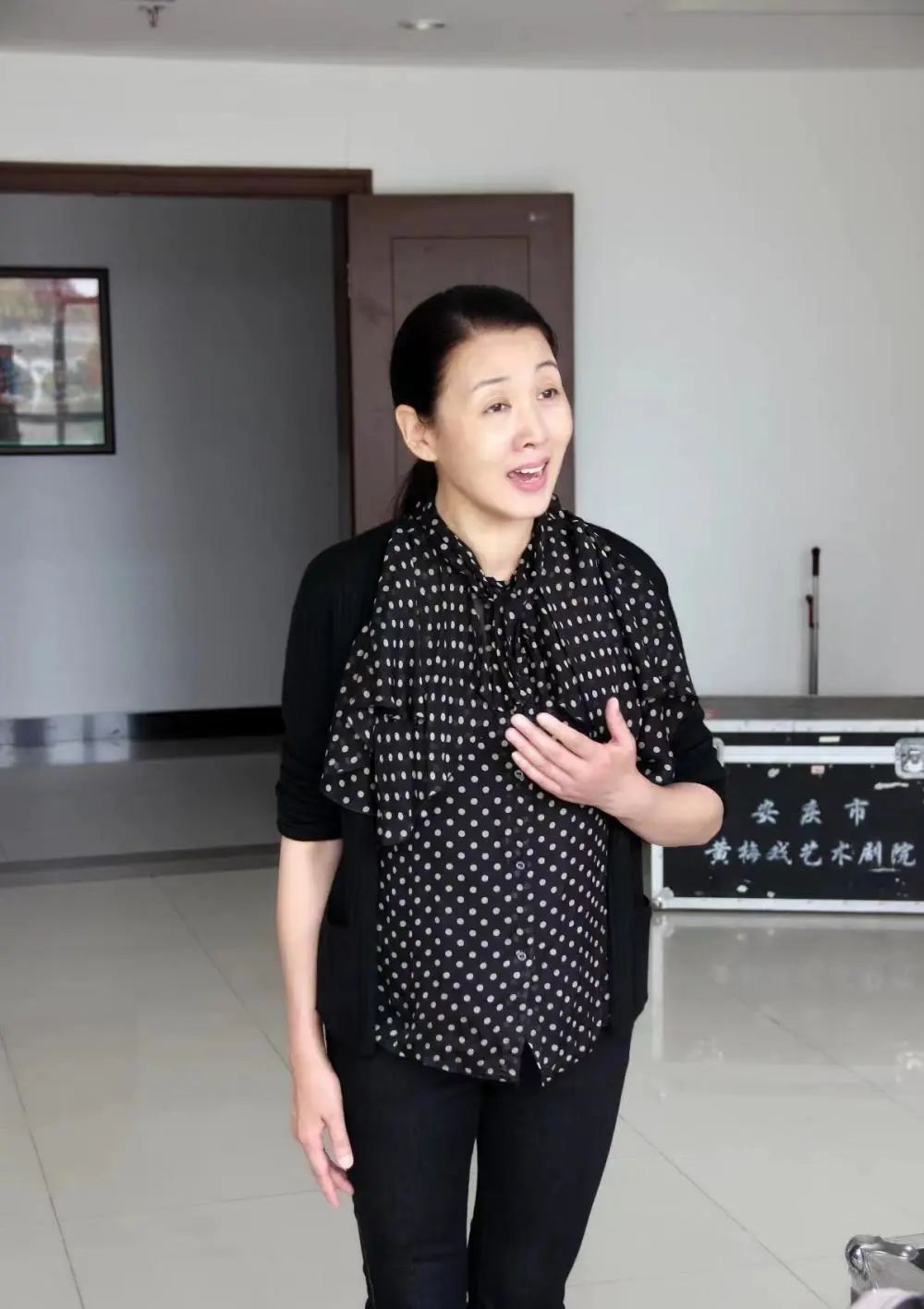 韩再芬揭秘黄梅戏电视剧霸屏秘诀我讨厌强求为我们的友谊干杯表情包竟