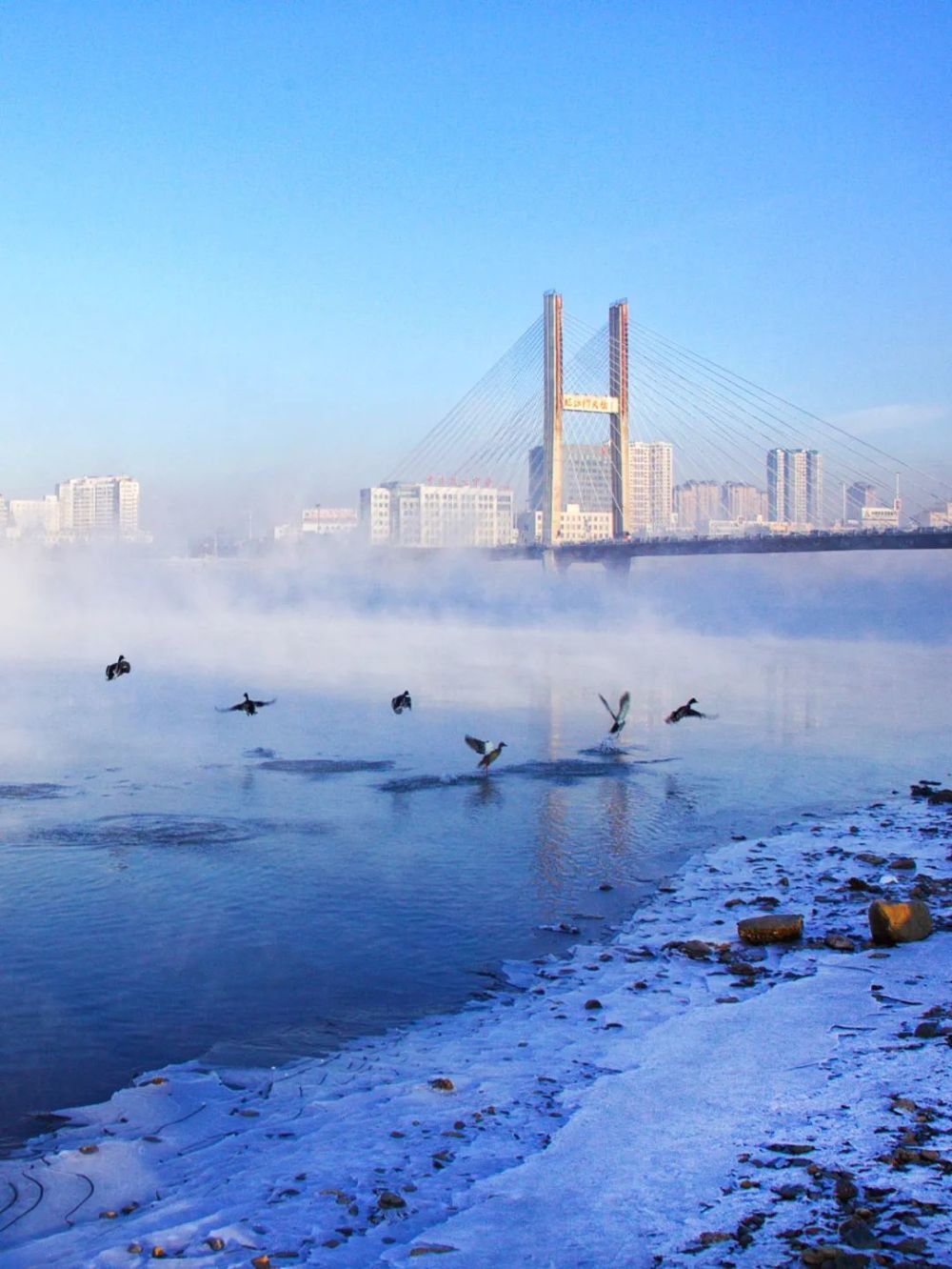 吉林市这座公园地处松花江畔是赏凇戏雪遛娃的打卡地