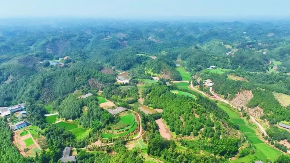 走基层叙州区脱贫村之变观音镇席草村摘帽不摘帮扶巩固提升不停步