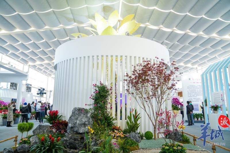 第二届广州国际(流溪)花卉博览会在广州从化开幕_腾讯新闻