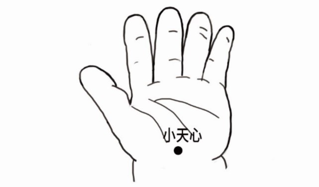 6.揉小天心5.掐少商4.揉耳后高骨3.运太阳2.推坎宫1.