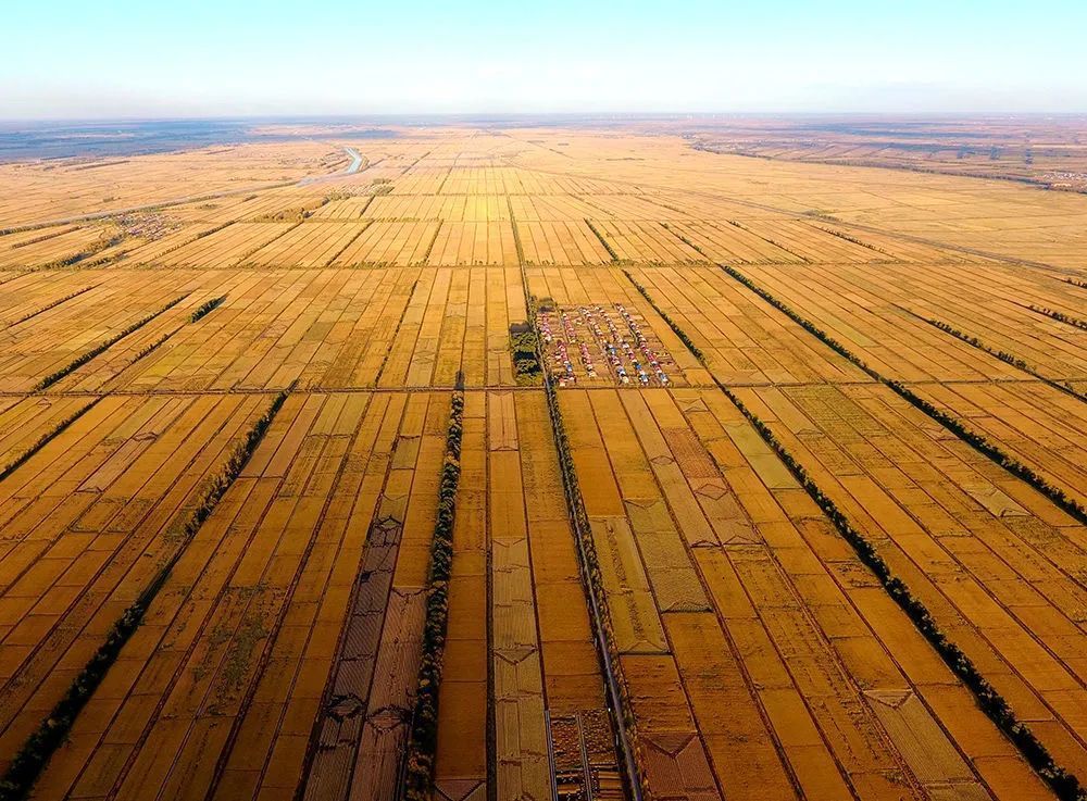 新华社乡村振兴看吉林之松原篇