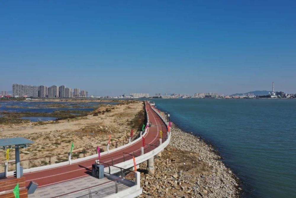 12月24日穿越海岸风景线相约水头五里桥畔健康跑