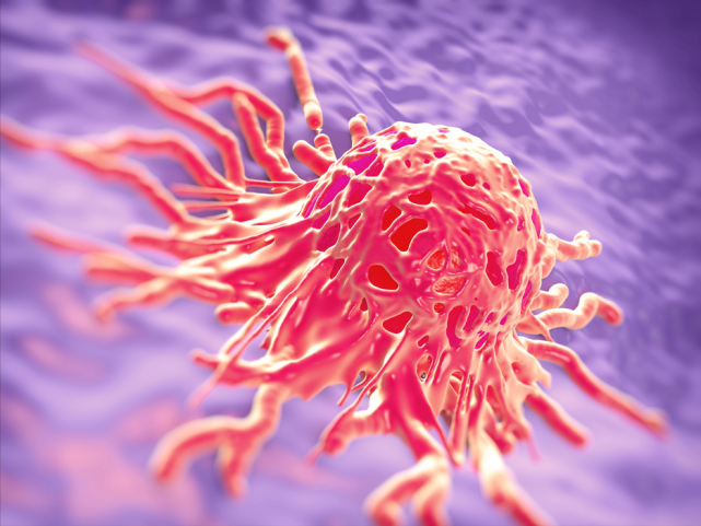 派特灵派特生物科普你知道宫颈癌与hpv之间有什么关系吗