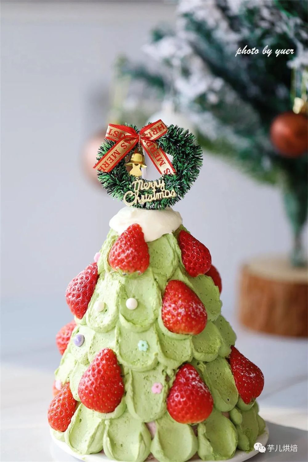 不用裱花不抹面,0难度的圣诞树蛋糕教程,好吃又好看!