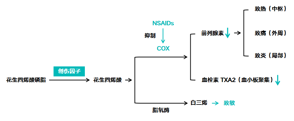 对乙酰氨基酚和布洛芬两药难求时还有这些解热镇痛药