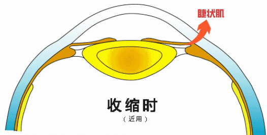 上汇智镜,利用智能变焦功能,模拟看远看近过程中有效锻炼睫状肌调节力