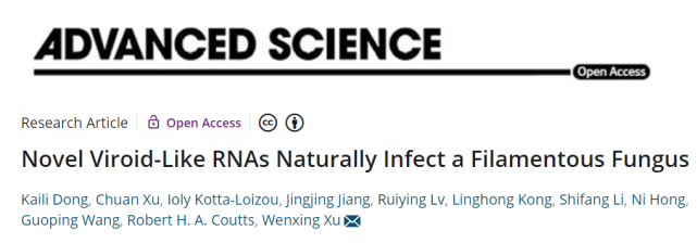 adv sci|华中农业大学徐文兴教授课题组首次于真菌内发现类病毒的新非