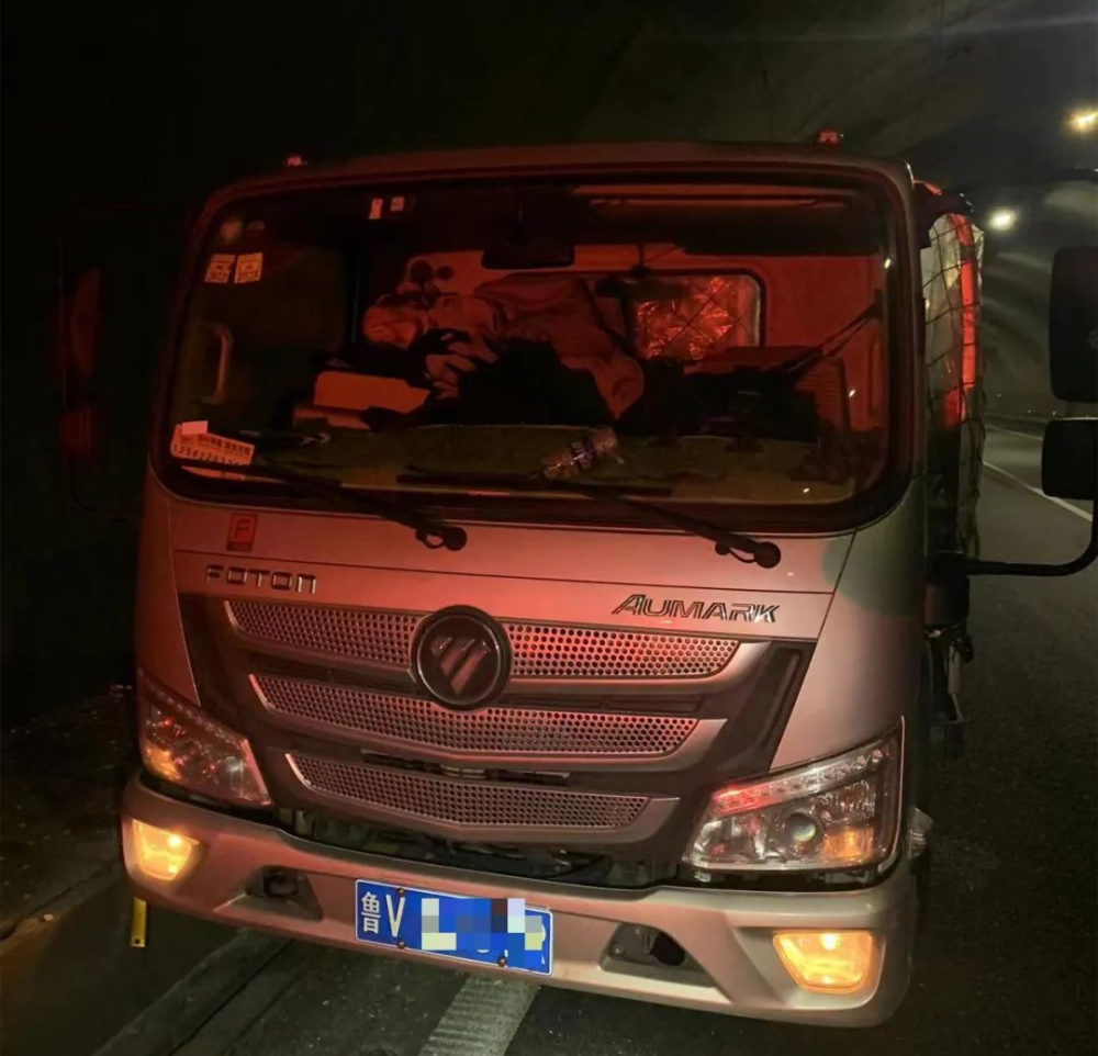 货车深夜停在高速隧道内,驾驶员躺在座位上口吐白沫……_腾讯新闻