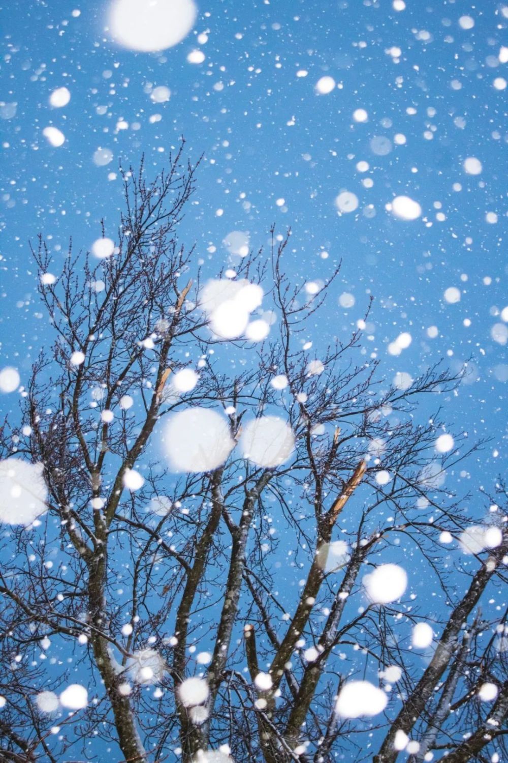 可以拍到近處的雪花虛化成唯美的圓圈,畫面則多幾分浪漫的氛圍