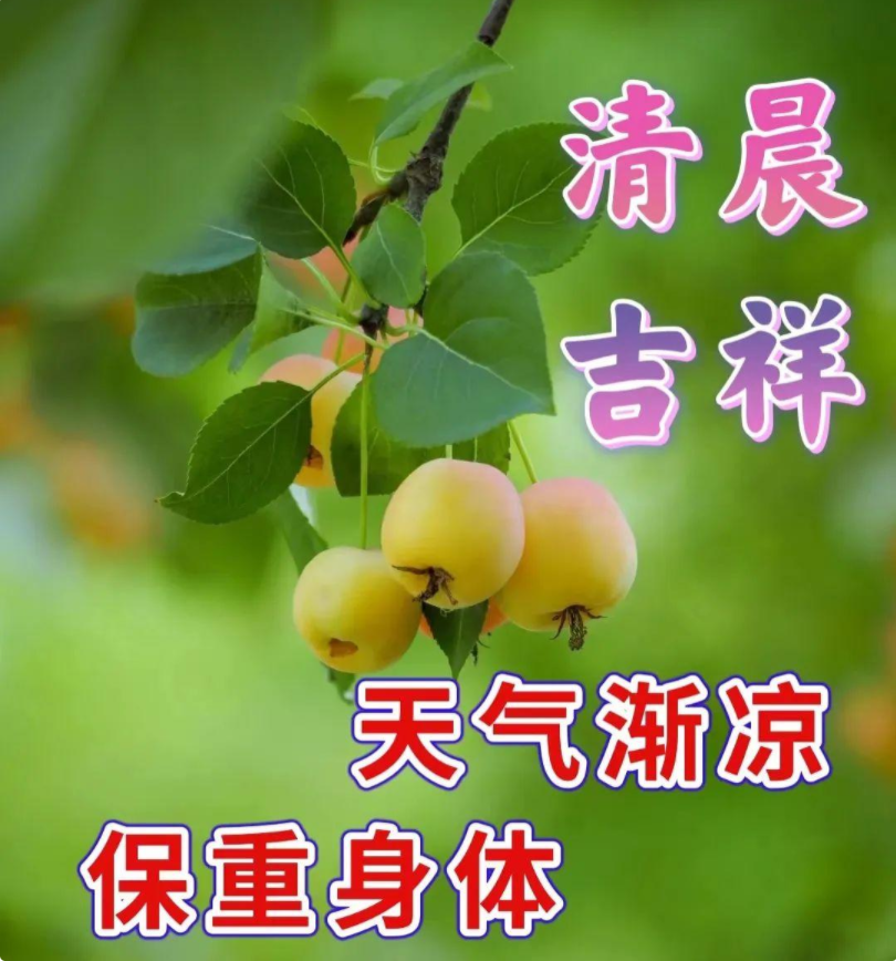 早上好祝福图片,天气渐凉,保重身体_腾讯新闻