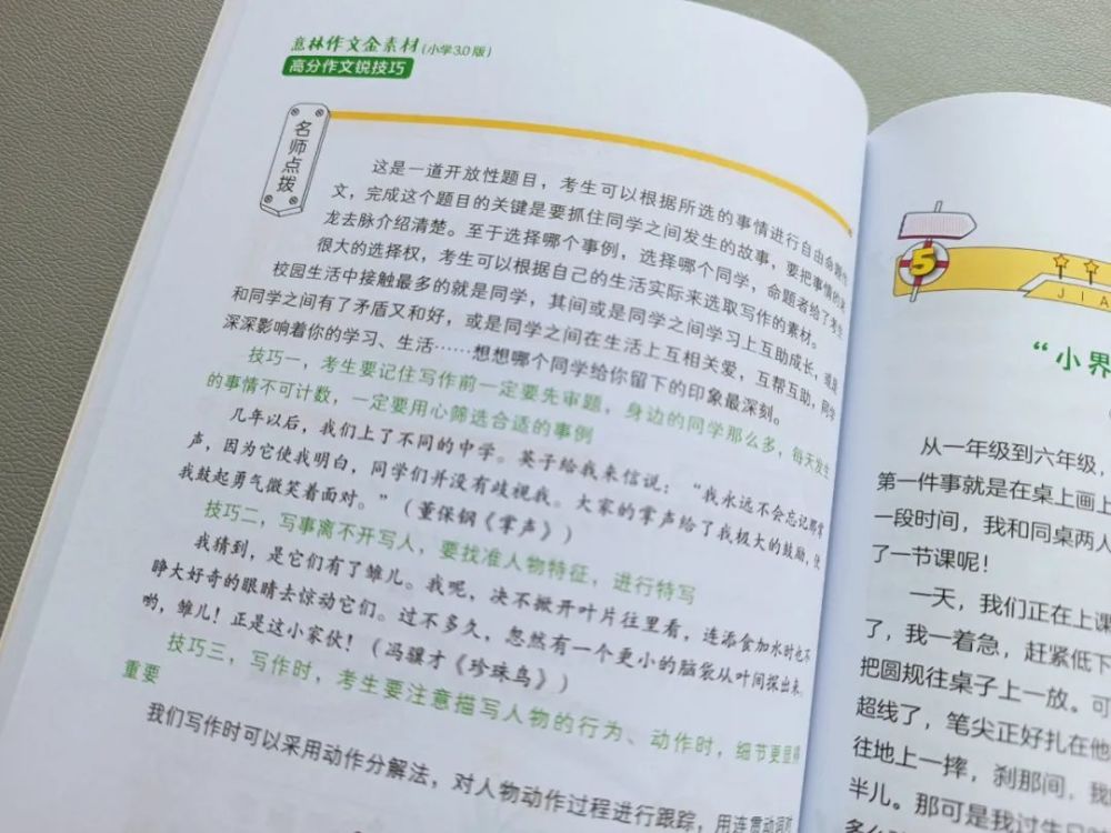 干货分享（大熊猫作文350字左右）大熊猫作文350字三年级下册,免费 第16张